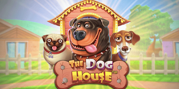 The Dog House